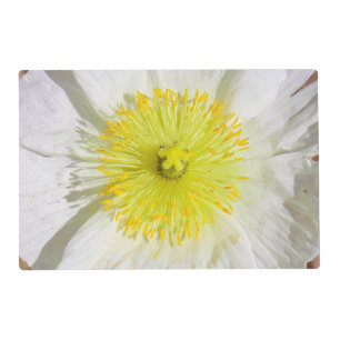 Perfectly Poppy Placemat