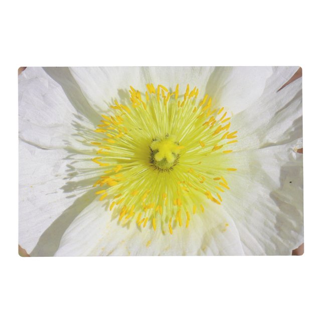 Perfectly Poppy  Placemat (Front)