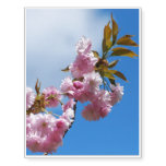 Perfectly Pretty Pink Cherry Tree Temporary Tattoos