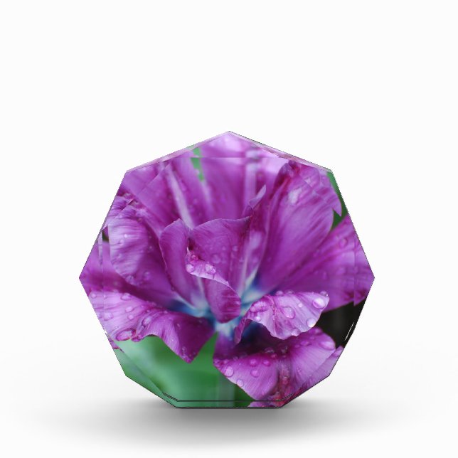 Perfectly Purple Parrot Tulip Acrylic Award (Front)