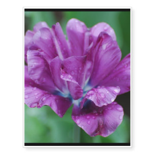 Perfectly Purple Parrot Tulip Temporary Tattoos