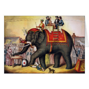 Performing Elephant Cards