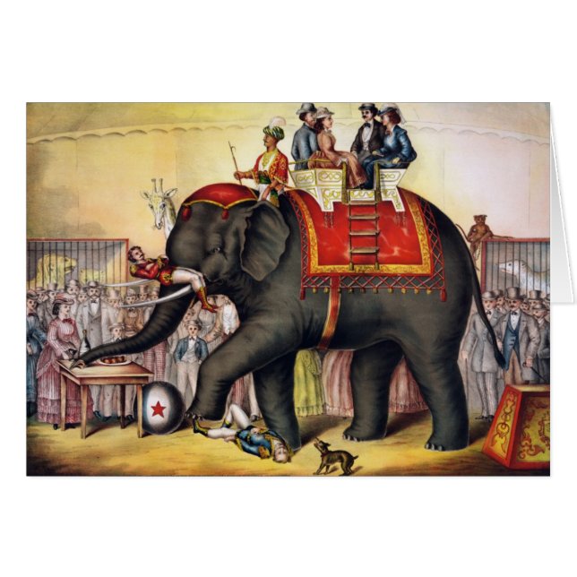 Performing Elephant Cards (Front Horizontal)