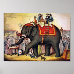 Performing Elephant Poster