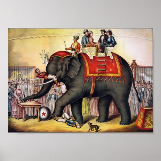 Performing Elephant Poster (Front)