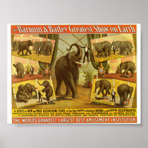 Performing Elephants Barnum & Bailey Circus Poster