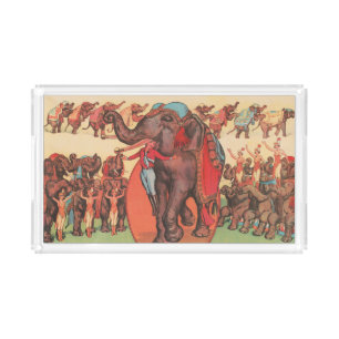 Performing Elephants With Women And Trainer. Acrylic Tray