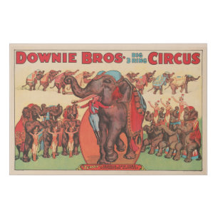 Performing Elephants With Women And Trainer. Faux Canvas Print