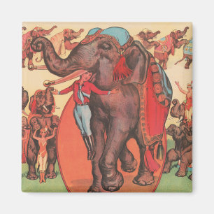 Performing Elephants With Women And Trainer. Magnet