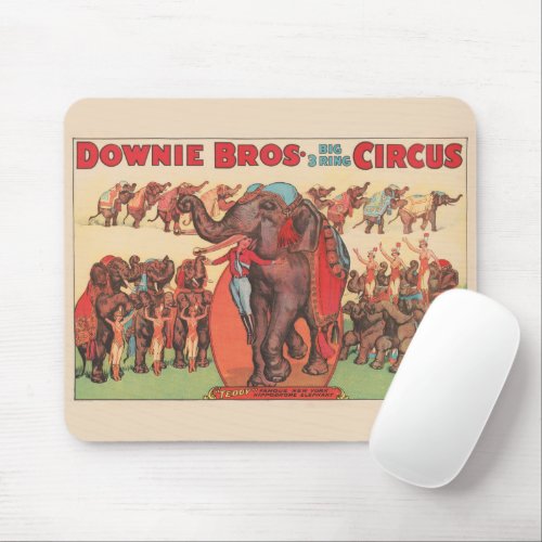 Performing Elephants With Women And Trainer Mouse Pad