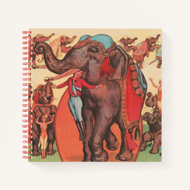 Performing Elephants With Women And Trainer. Notebook (Front)