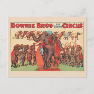 Performing Elephants With Women And Trainer. Postcard