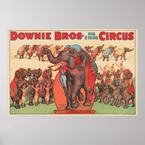 Performing Elephants With Women And Trainer Poster