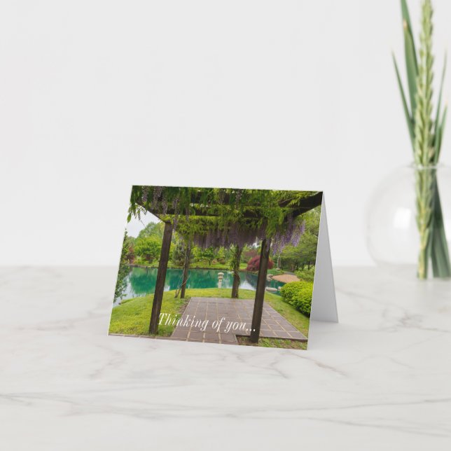 Pergola Of Wisteria Card (Front)