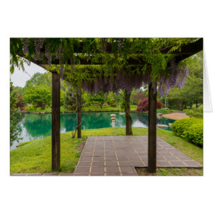 Pergola Of Wisteria Cards