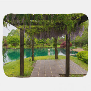 Pergola Of Wisteria Receiving Blanket