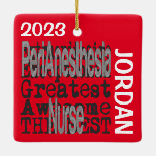 PeriAnesthesia Nurse Extraordinaire CUSTOM Ceramic Ornament