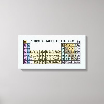 Periodic Table of Birding Canvas Print