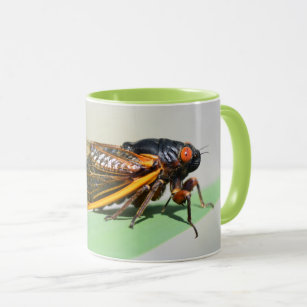 Periodical cicada mug - enjoy coffee with Brood X