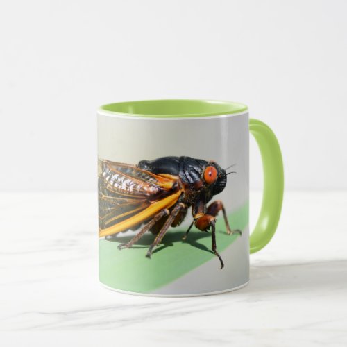 Periodical cicada mug _ enjoy coffee with Brood X