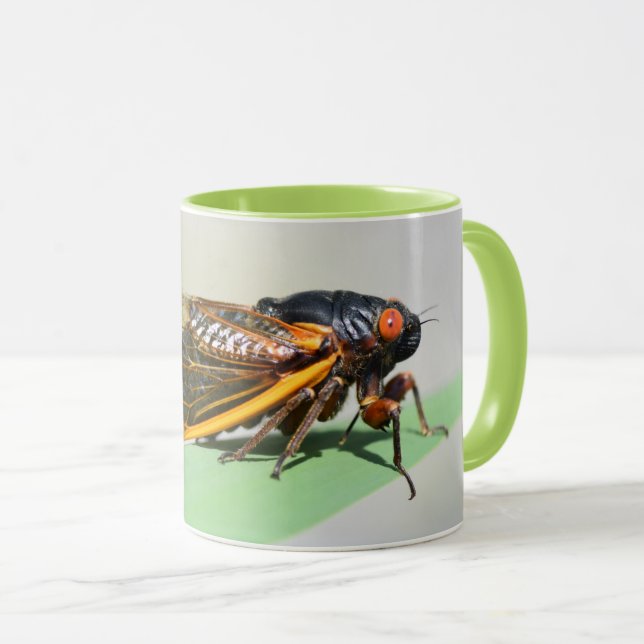 Periodical cicada mug - enjoy coffee with Brood X (Front Right)