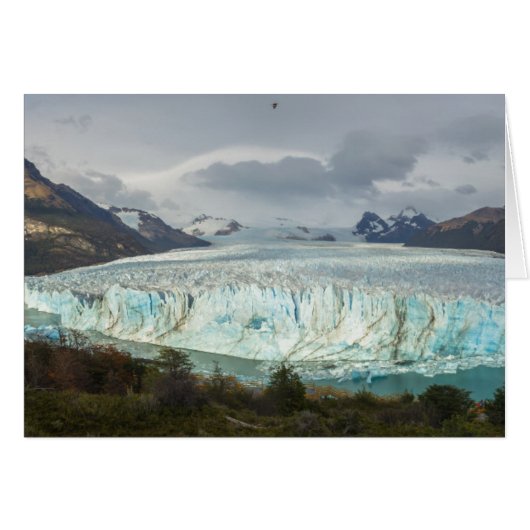 Perito Moreno Glacier Panoramic Cards (Front Horizontal)