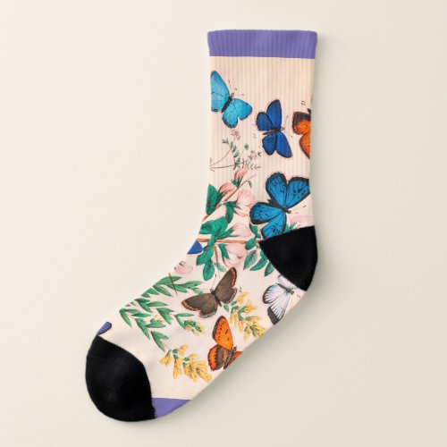 periwinkle and butterflies socks