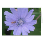 Periwinkle Blue (Front Horizontal)