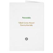 Periwinkle Cards (Back)