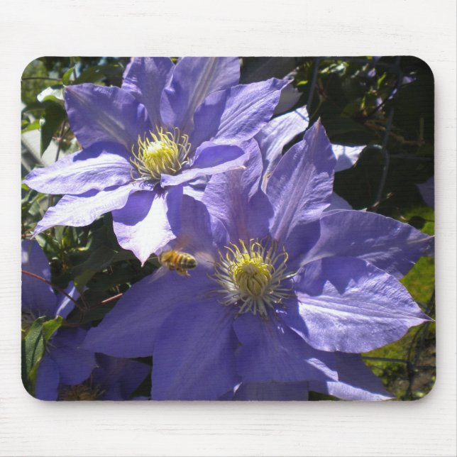 Periwinkle Clematis and Bee mousepad (Front)