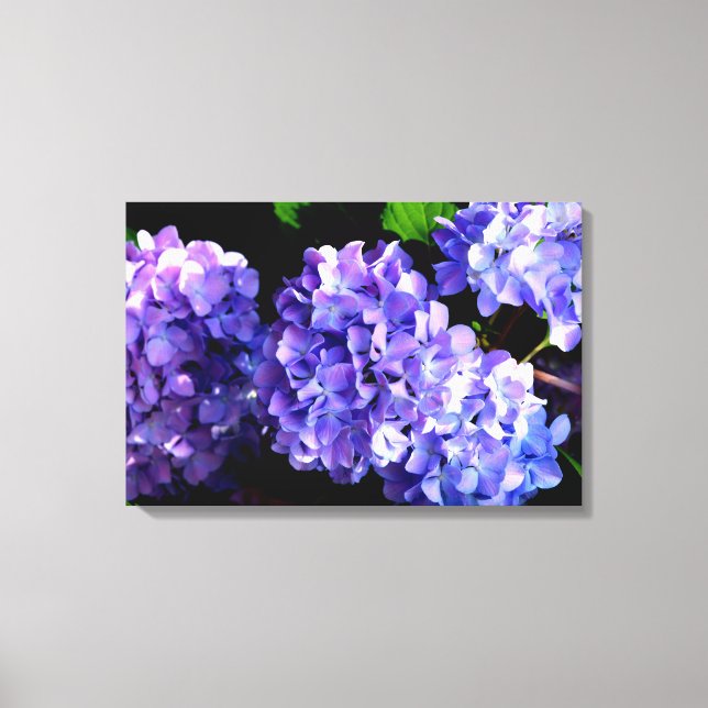 Periwinkle hydrangeas purple blue flower floral canvas print (Front)