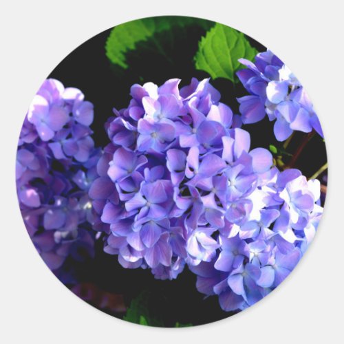 Periwinkle hydrangeas purple blue flower floral classic round sticker
