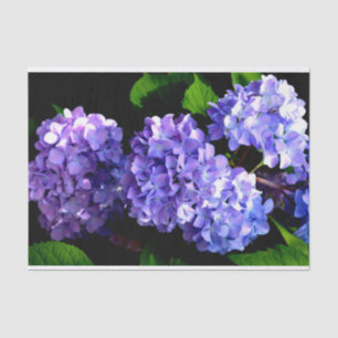 Periwinkle hydrangeas purple blue flower floral tissue paper