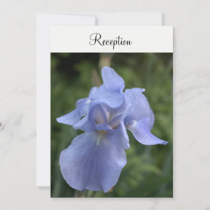Periwinkle Iris Floral Wedding Reception Invitation