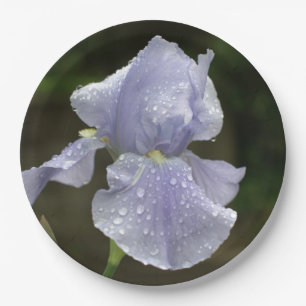 Periwinkle Iris Flowers with Raindrops Paper Plates