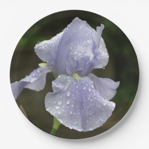 Periwinkle Iris Flowers with Raindrops Paper Plates