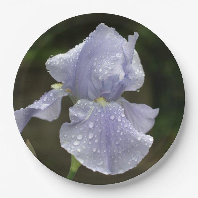 Periwinkle Iris Flowers with Raindrops Paper Plates (Front)