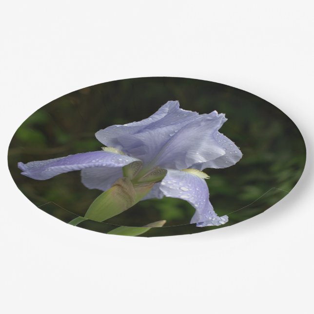 Periwinkle Iris Petals Raindrops Paper Plates (Angled)
