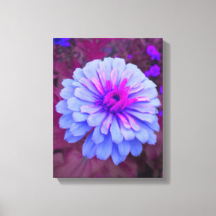 Periwinkle N Pink Zinnia Wrapped Canvas Print