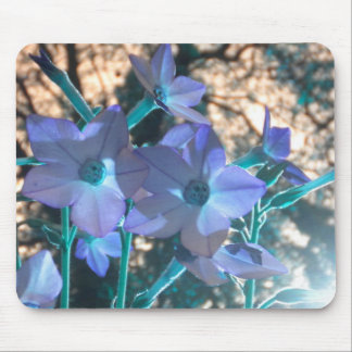Periwinkle N Teal Nicotiana mousepad