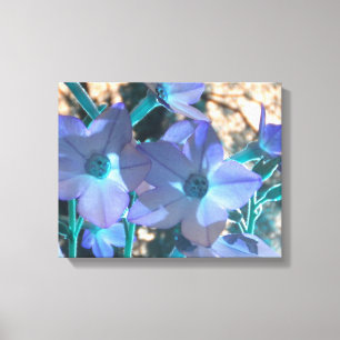 Periwinkle N Teal Nicotiana Wrapped Canvas Print