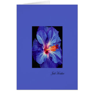 Periwinkle~One of the Most Worn Colors Cards