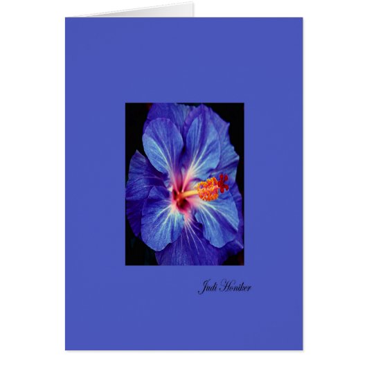 Periwinkle~One of the Most Worn Colors Cards (Front)