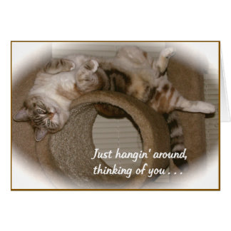 Periwinkle the Cat Cards