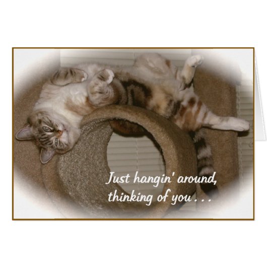 Periwinkle the Cat Cards (Front Horizontal)
