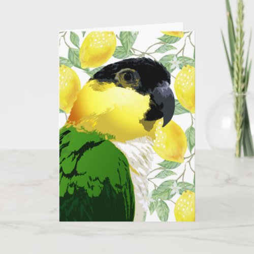 Perky Caique Parrot Summer Lemons Cheerful Yellow Holiday Card