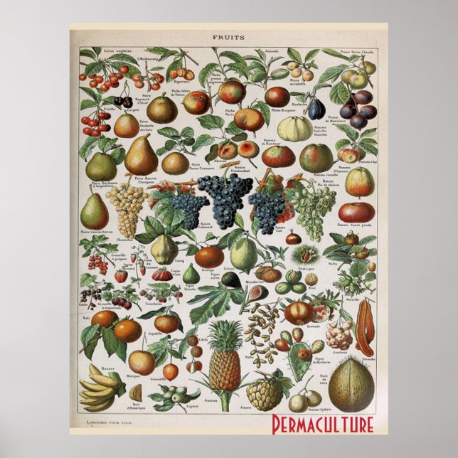 Permaculture Farms Fruits ,  personalize Poster (Front)