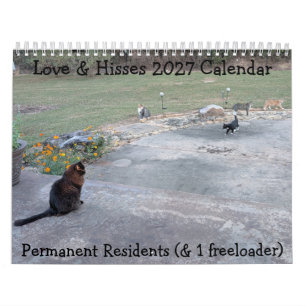 Permanent Residents: Love & Hisses 2027 Calendar