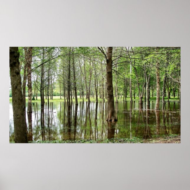 Perrin Park Poster (Front)