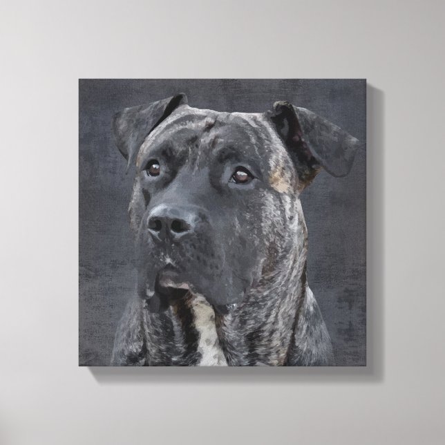 Perro de Presa Canario - Dogo Canario Canvas Print (Front)